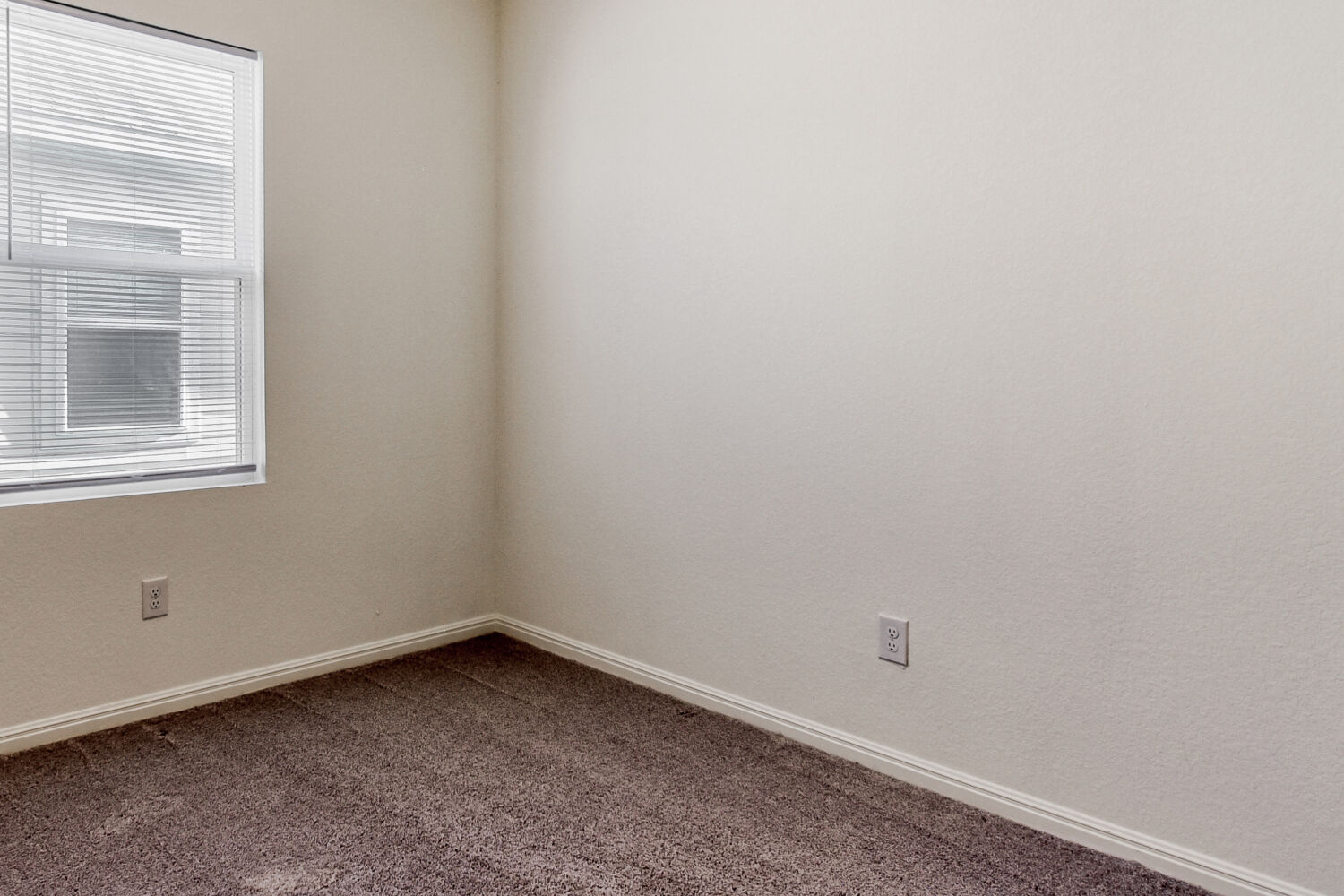 402 Gemsbok Road Hutto, TX 78634 - Photo 18 of 24