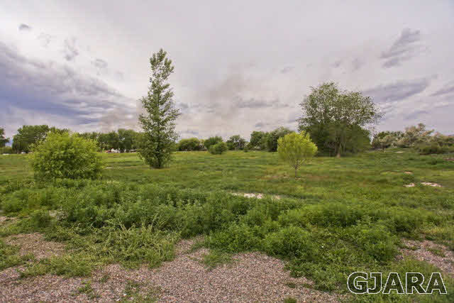 579 29 Road Grand Junction, CO 81501 - Photo 2 of 40 a big yard with lots of green space