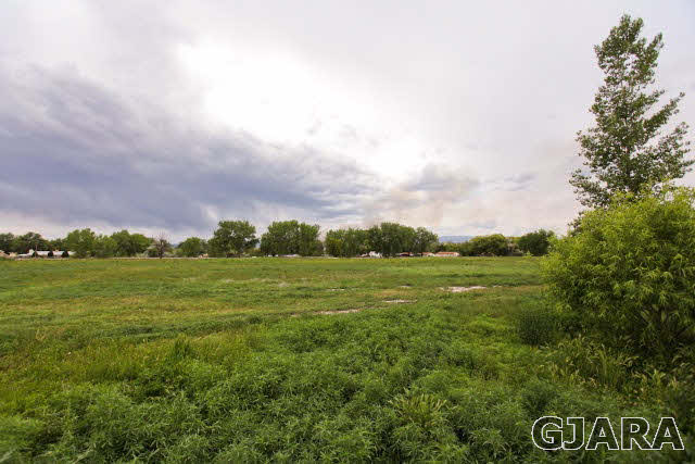 579 29 Road Grand Junction, CO 81501 - Photo 3 of 40 a view of a field with an trees