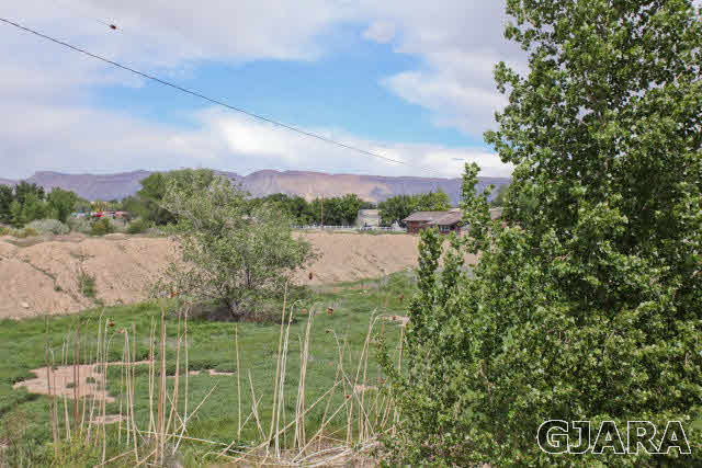 579 29 Road Grand Junction, CO 81501 - Photo 35 of 40 a view of a city from a garden