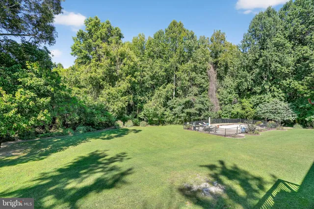 a view of a green field with lots of bushes