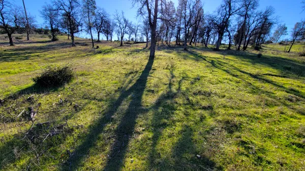 a view of yard with swimming pool and trees