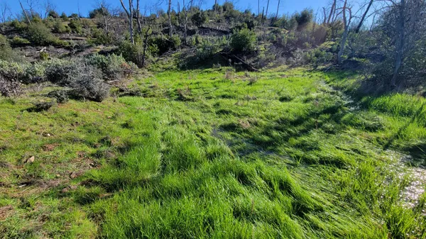 a outdoor area with a bunch of flowers