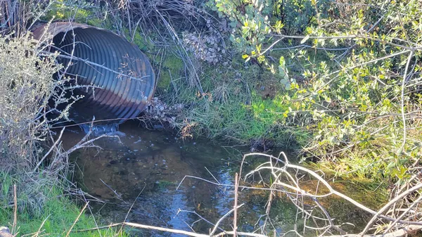 a view of a lake with a tree
