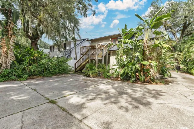 a view of a pathway with a tree