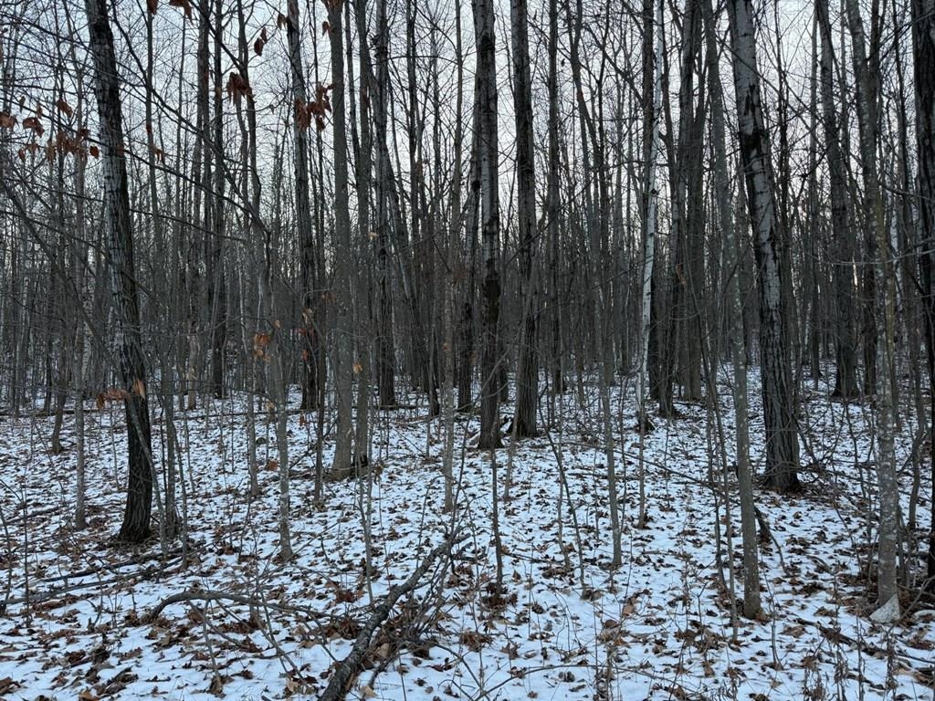 High Road Brussels, WI 54204 - Photo 4 of 8