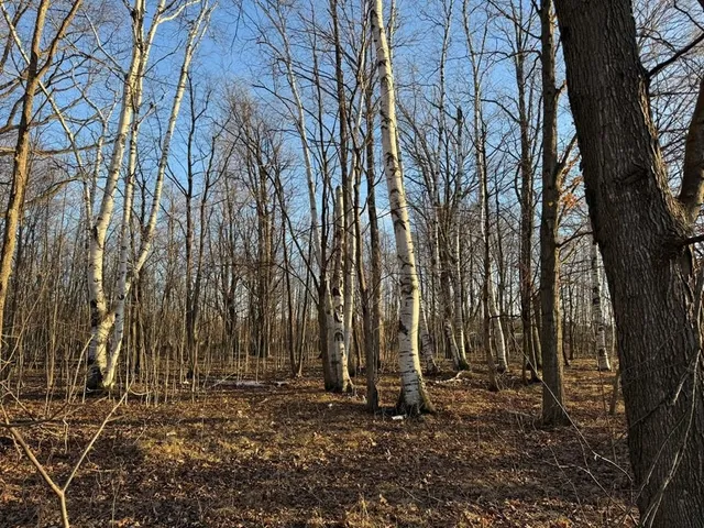 $724,800 | High Road, Brussels, WI 54204