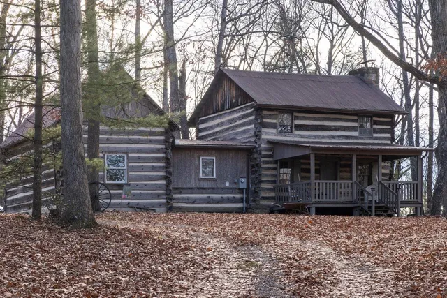 a view of a dry yard