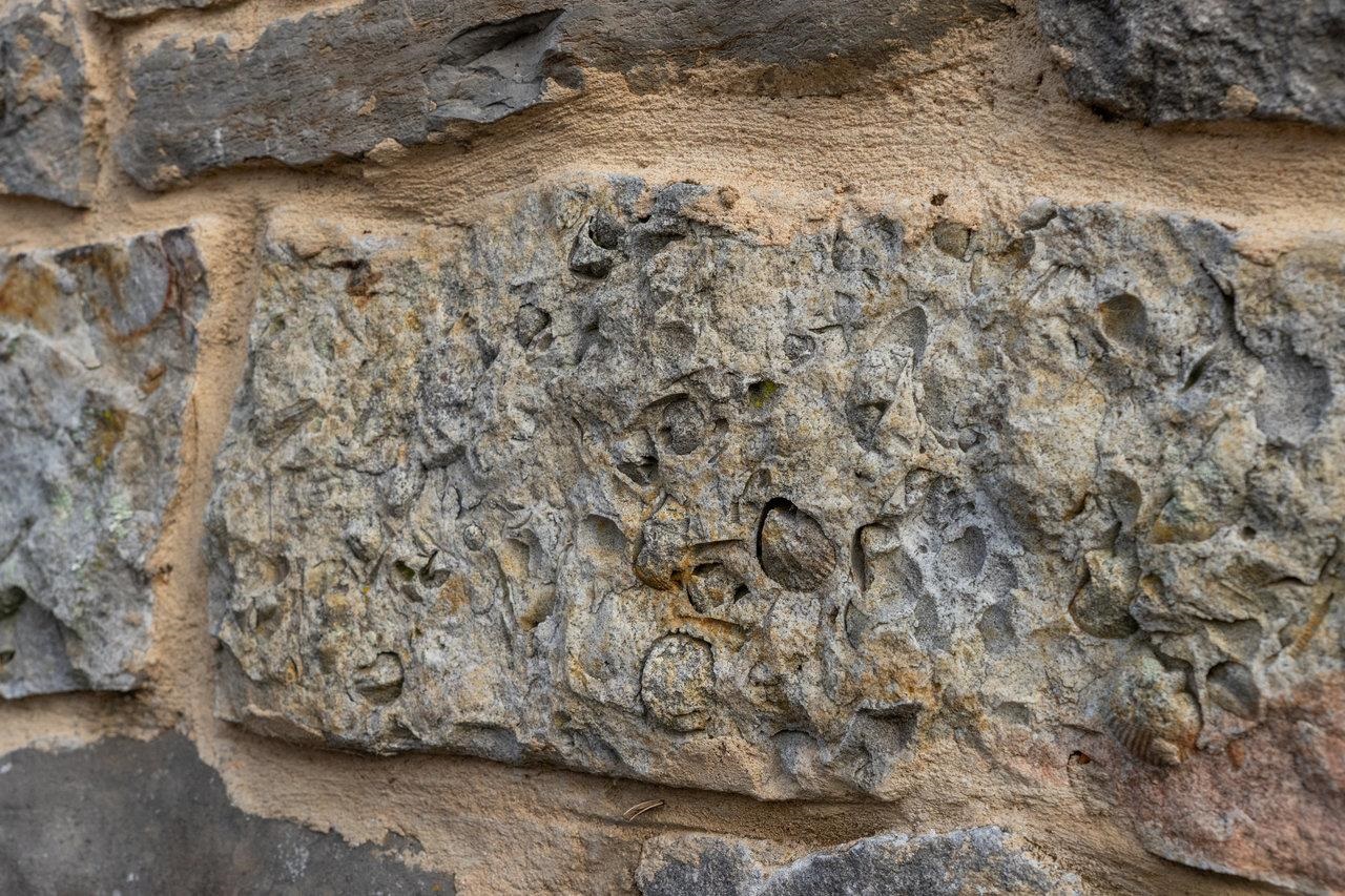 800 Cove Mountain Road Mathias, WV 26812 - Photo 64 of 74 a view of a dry yard with wooden fence