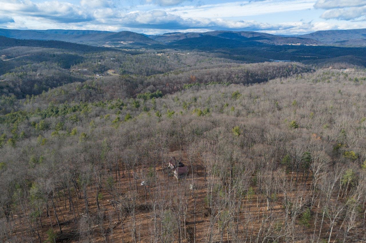 800 Cove Mountain Road Mathias, WV 26812 - Photo 67 of 74 a view of a dry yard