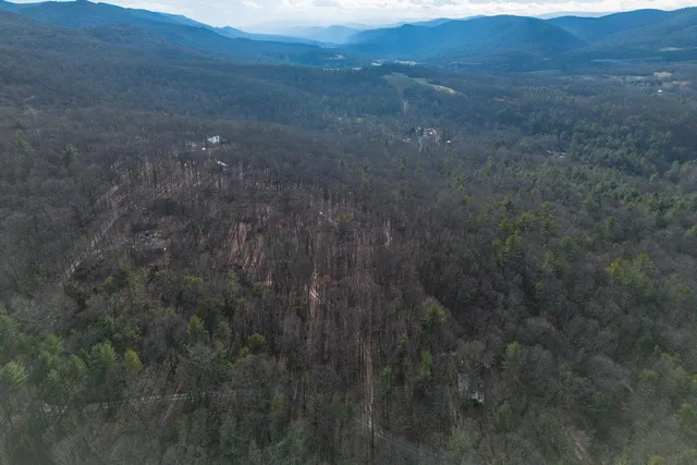 $275,000 | 800 Cove Mountain Road, Mathias, WV 26812