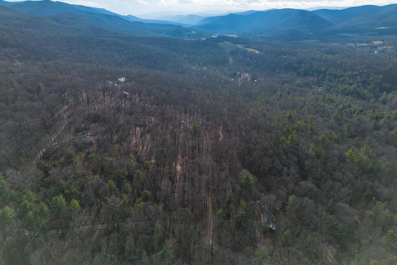 800 Cove Mountain Road Mathias, WV 26812 - Photo 71 of 74 a view of a dry yard
