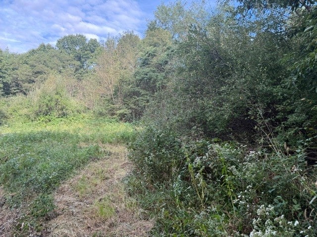 19101 Harrison Street Road Charleston, IL 61920 - Photo 24 of 69 Gallery Image 24