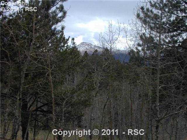 87 Blue Spruce Road Divide, CO 80814 - Photo 10 of 10 View from front of home