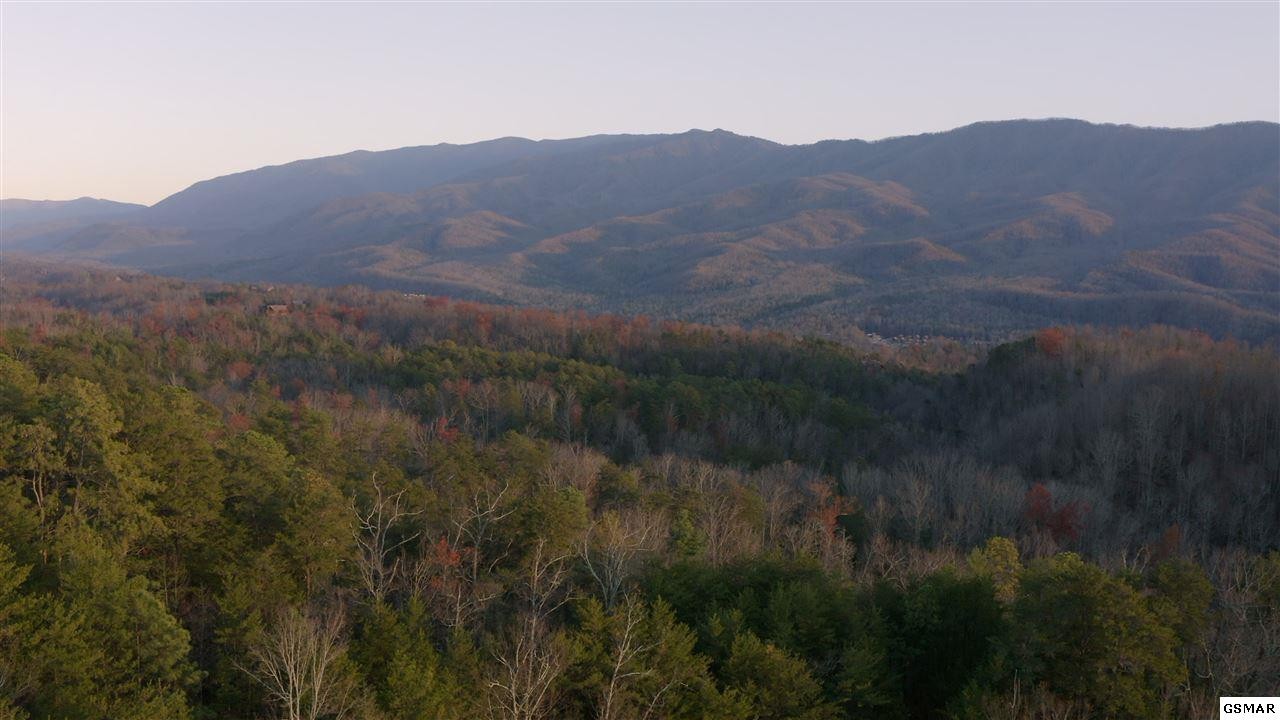 314 Hickey Road Sevierville, TN 37876 - Photo 9 of 36