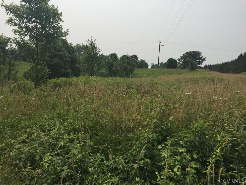 Lot 30753 Bethany Church Road Bumpass, VA 23024 - Photo 1 of 4 Gallery Image 1