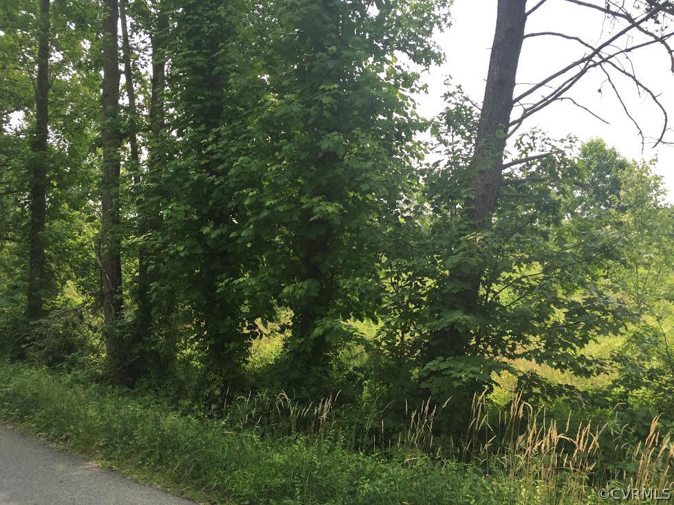 Lot 30753 Bethany Church Road Bumpass, VA 23024 - Photo 3 of 4 Gallery Image 3