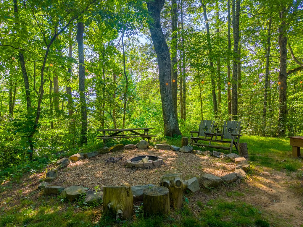 171 High Splendor Drive Robbinsville, NC 28771 - Photo 49 of 62