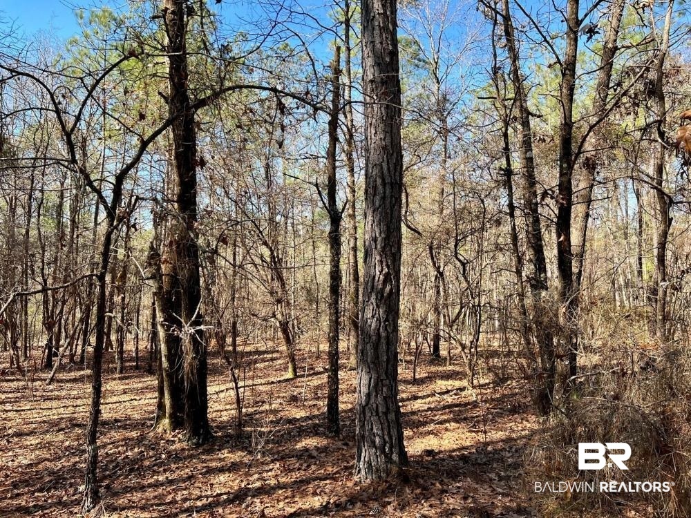 0 Country Road Deer Park, AL 36529 - Photo 32 of 46