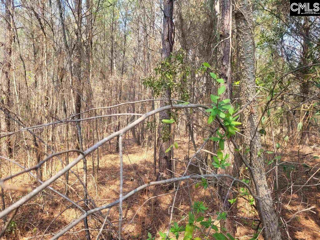 239 House Road Eastover, SC 29044 - Photo 4 of 10