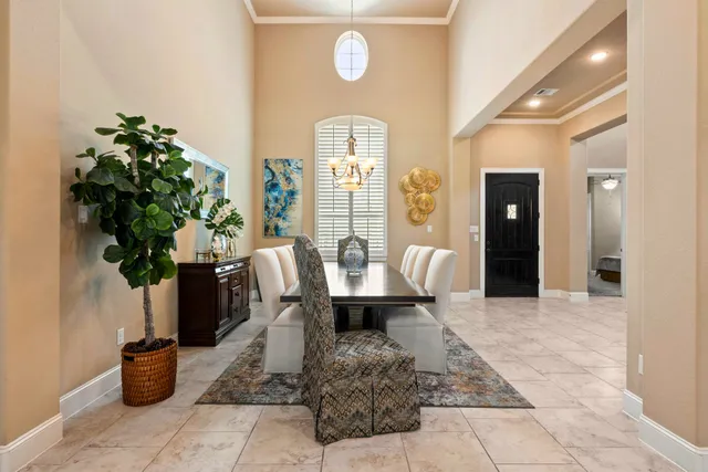 a living room with furniture flowerpot and a potted plant
