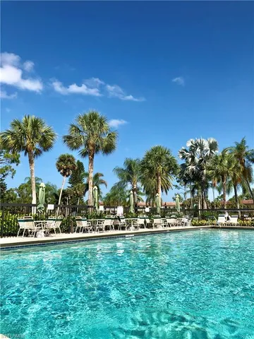 a view of a palm trees
