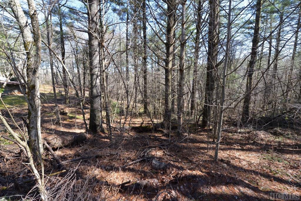 On View Point Road Highlands, NC 28741 - Photo 3 of 7 Gallery Image 3