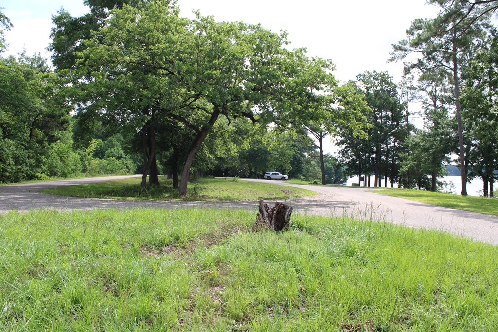 0 Pataula Park Road Georgetown, GA 39854 - Photo 12 of 12