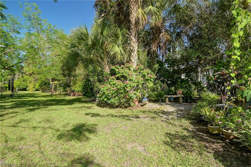 6350 Parkers Hammock Road Naples, FL 34112 - Photo 38 of 49 a view of a yard with plants and trees