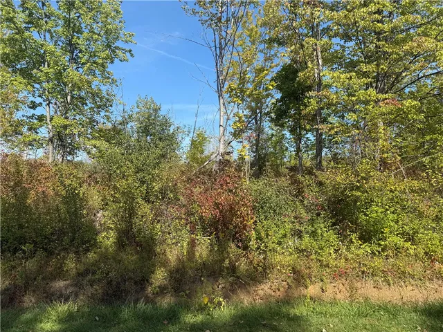 $29,900 | 0 Ryther Road, Evans, NY 14006