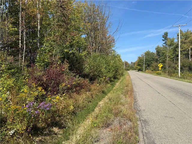 $29,900 | 0 Ryther Road, Evans, NY 14006