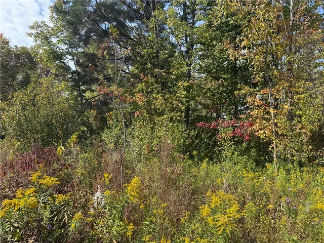 $29,900 | 0 Ryther Road, Evans, NY 14006