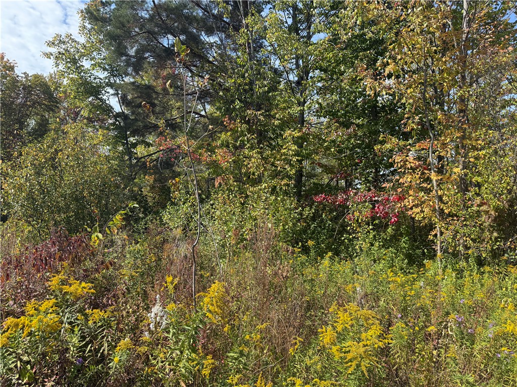 0 Ryther Road Evans, NY 14006 - Photo 13 of 16