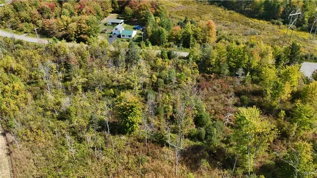 $29,900 | 0 Ryther Road, Evans, NY 14006