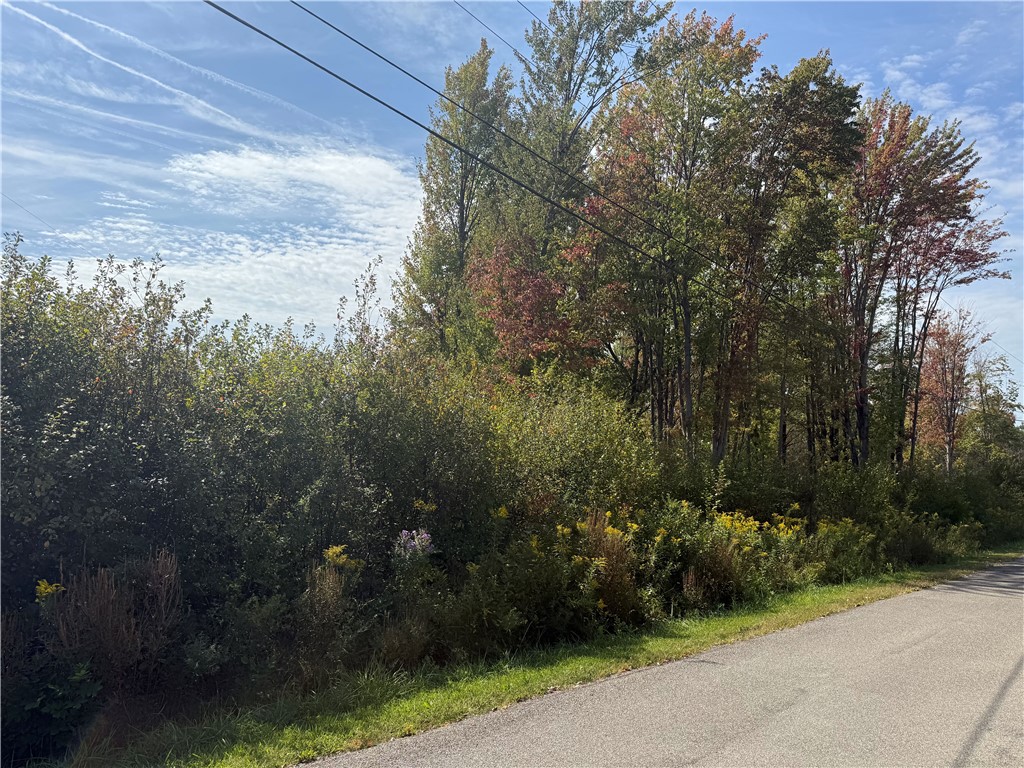 0 Ryther Road Evans, NY 14006 - Photo 8 of 16