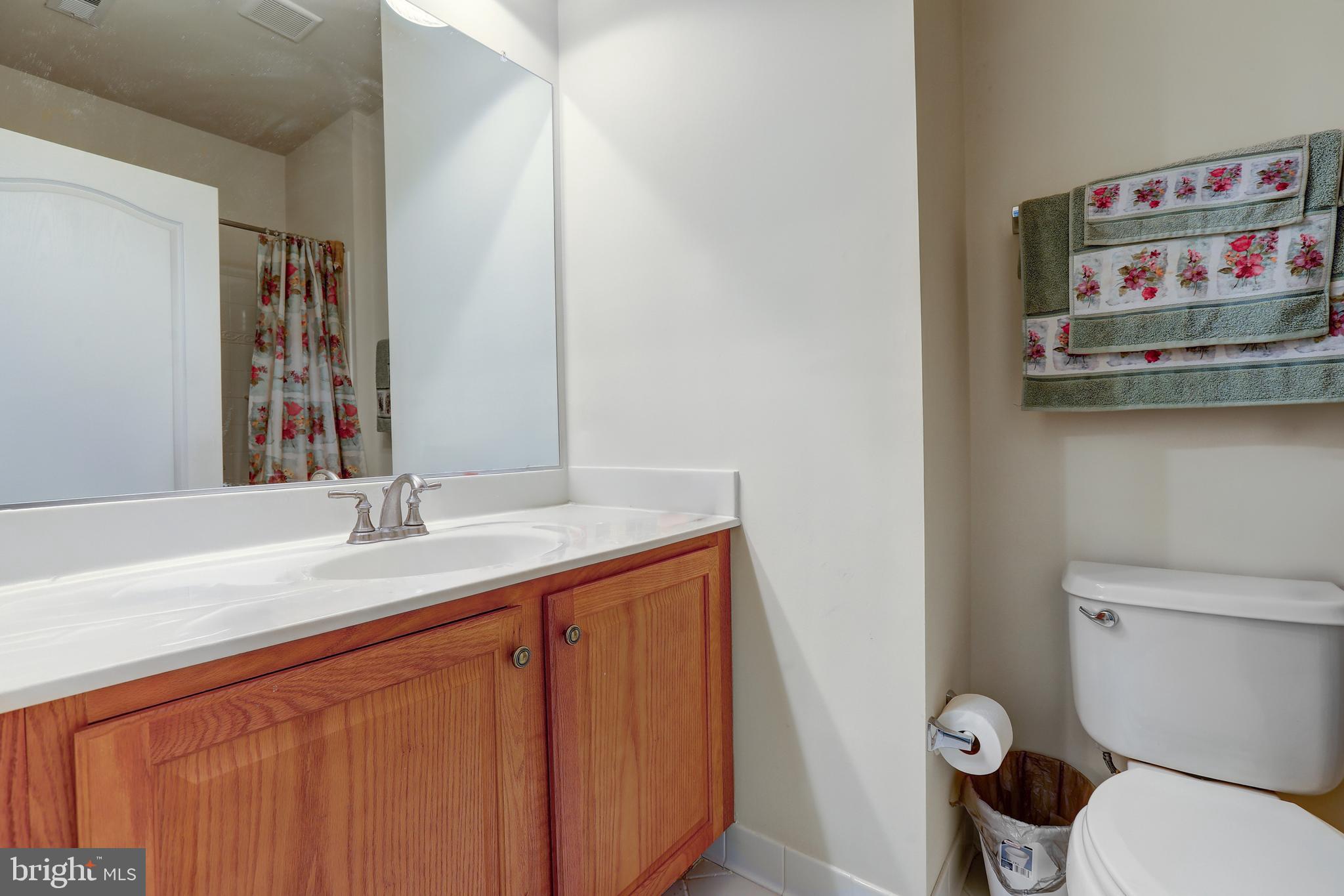 1601 Rushing Stream Court Forest Hill, MD 21050 - Photo 55 of 72 Bath #4 with shower/tub & single vanity