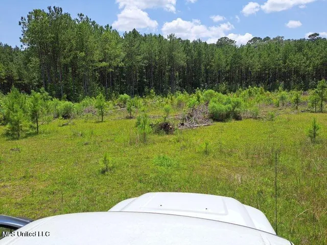 $250,000 | 0 Us 49 Highway, Mount Olive, MS 39119