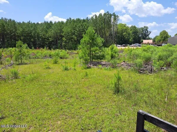 $250,000 | 0 Us 49 Highway, Mount Olive, MS 39119