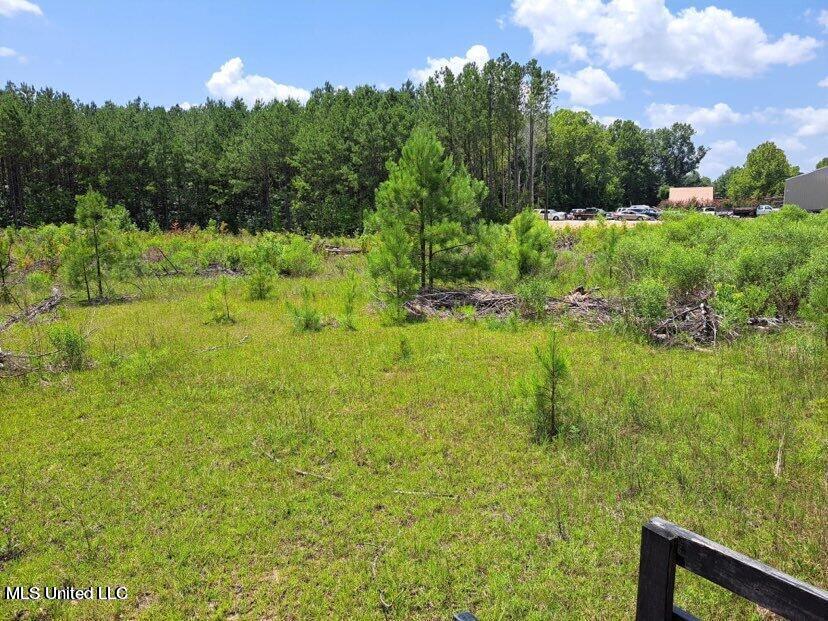 0 Us 49 Highway Mount Olive, MS 39119 - Photo 4 of 6 20230719032141732154000000-o