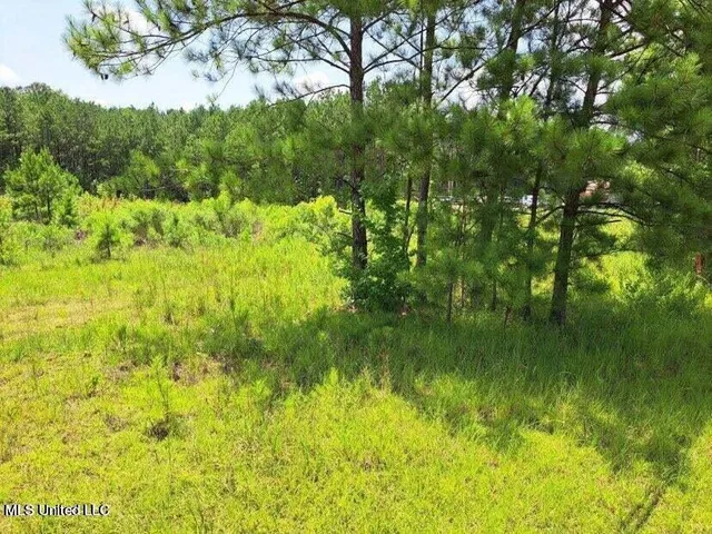 $250,000 | 0 Us 49 Highway, Mount Olive, MS 39119