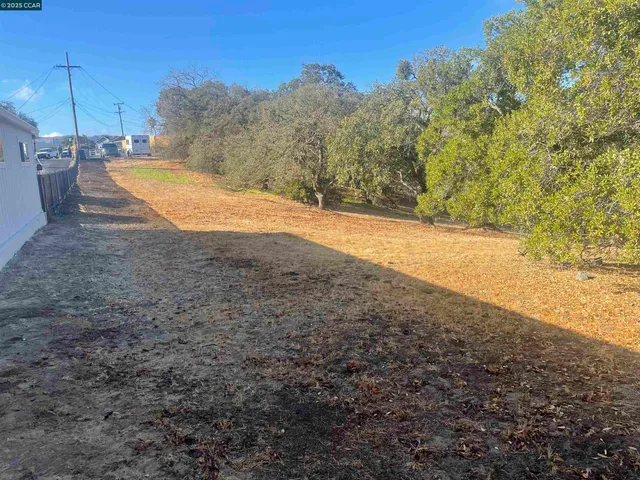 a view of outdoor space and yard