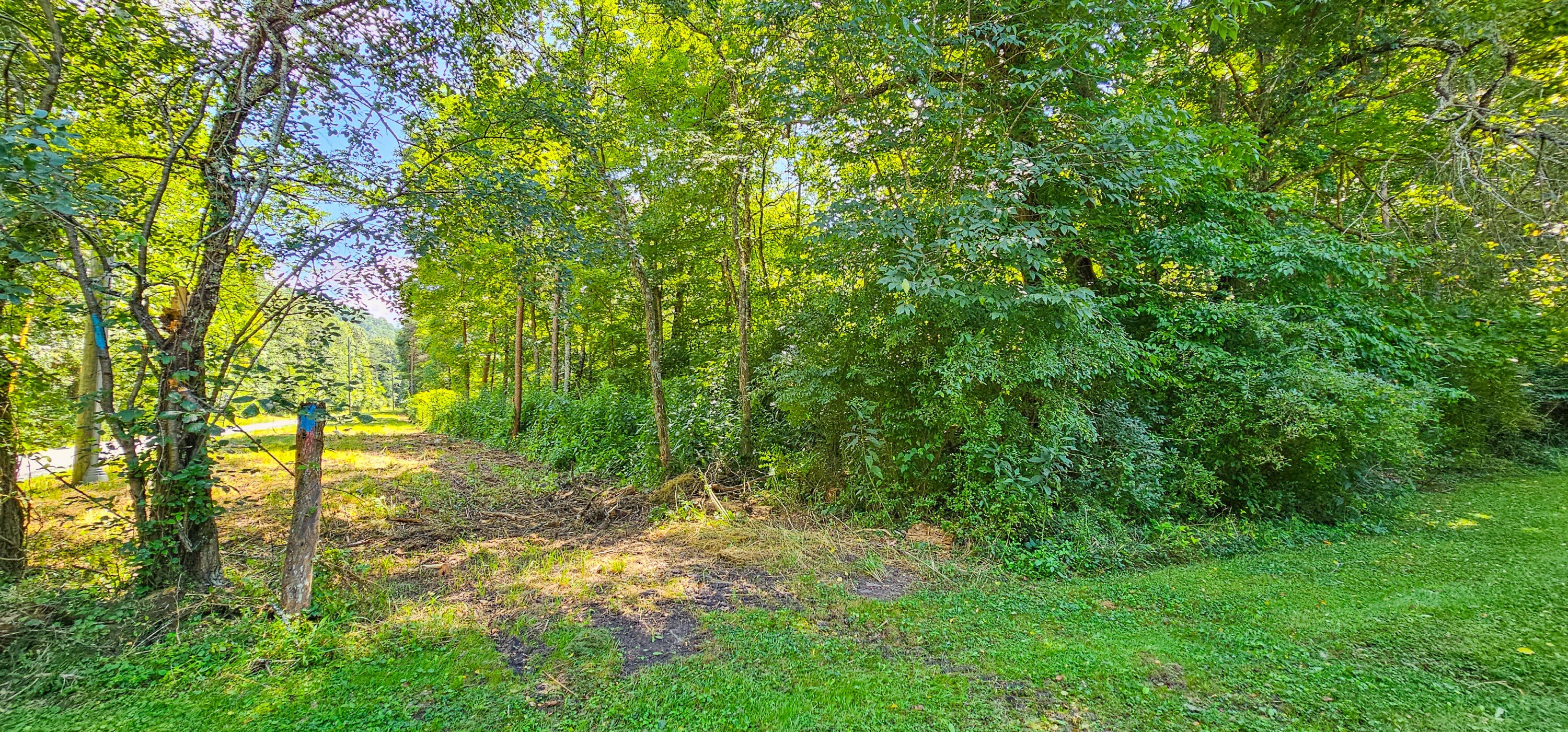 57 Pne Rdg Way Caldwell, WV 24925 - Photo 11 of 29 Gallery Image 11