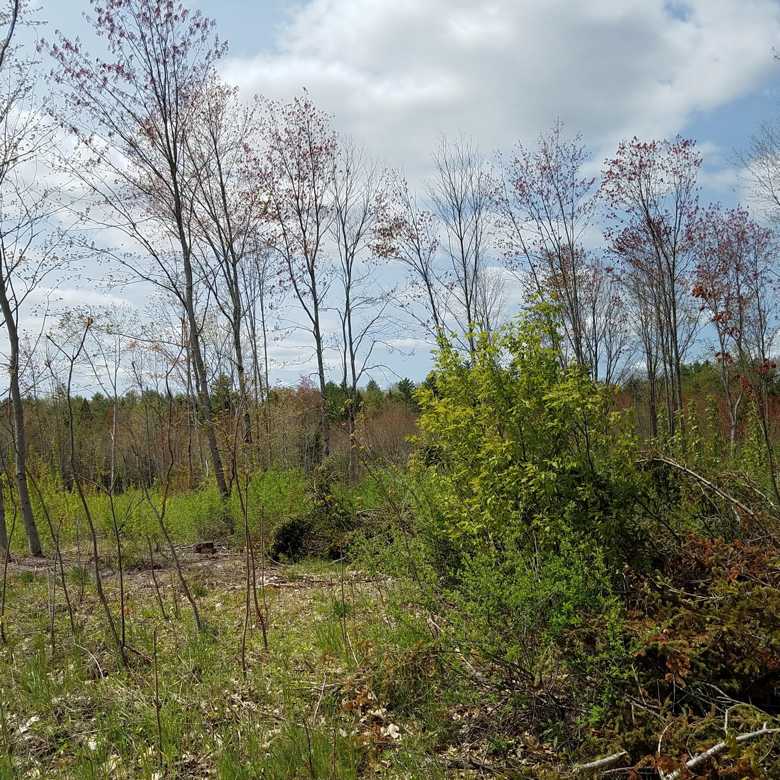 457 Church Hill Road Leeds, ME 04263 - Photo 4 of 5 pics 7.19.19.3