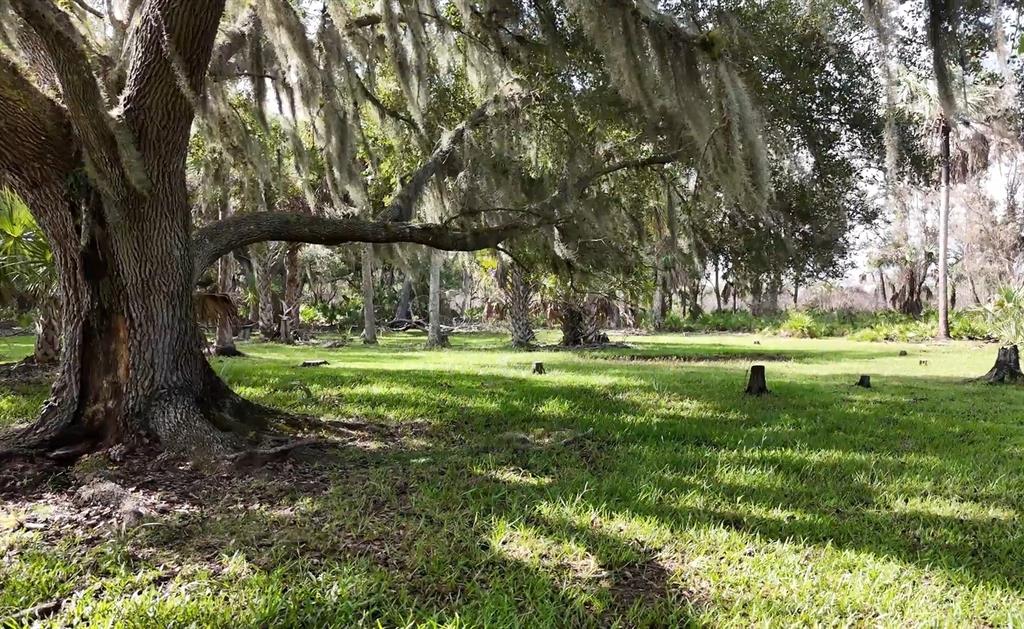 a garden view with a fountain
