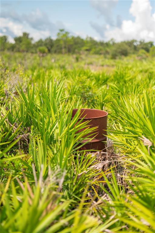Southwest Addison Avenue, Unit A Arcadia, FL 34266 - Photo 12 of 13