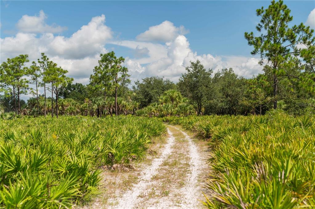 Southwest Addison Avenue, Unit A Arcadia, FL 34266 - Photo 6 of 13 a view of a lake with a pathway