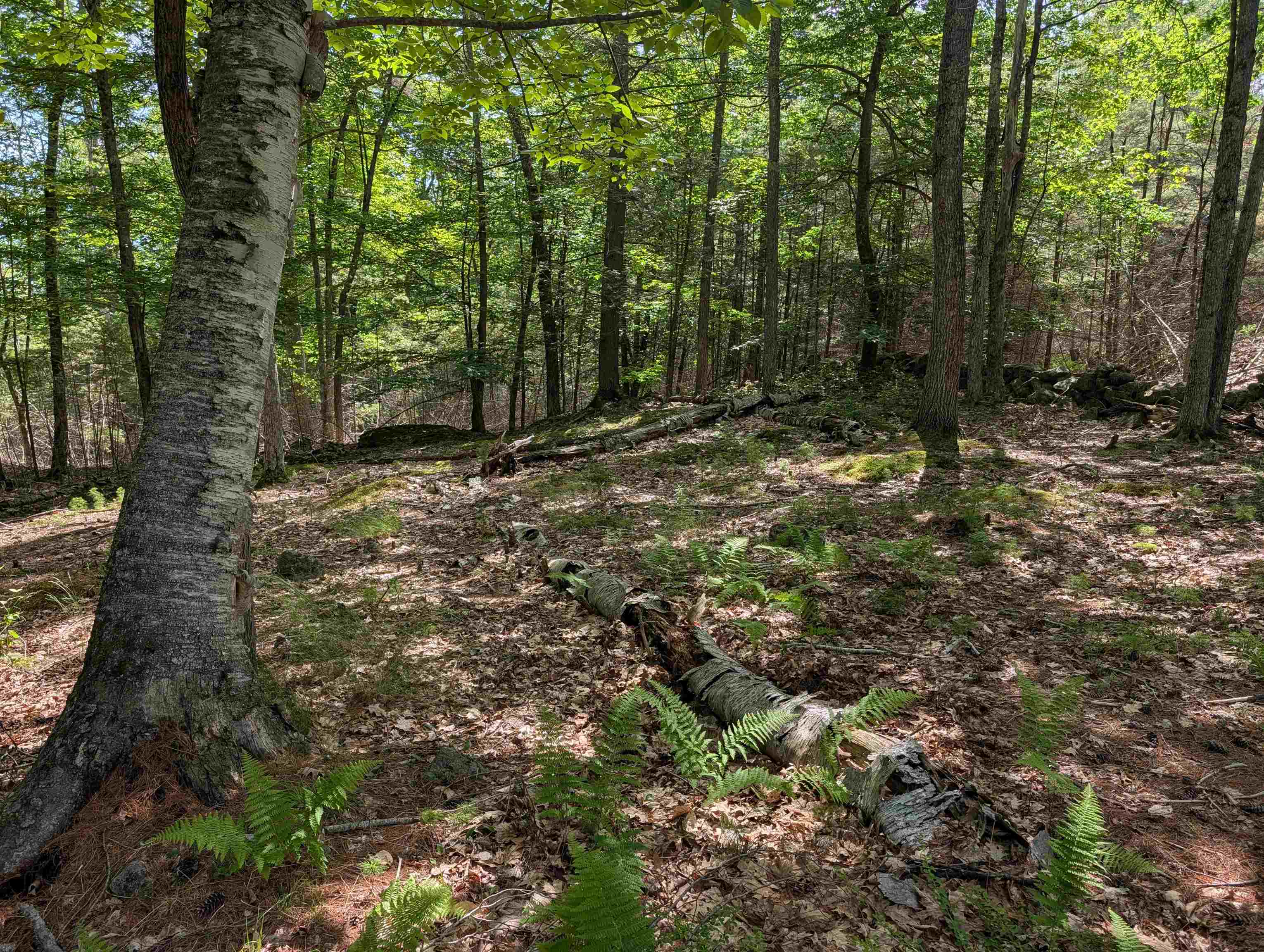 70 High Ridge Road Moultonborough, NH 03254 - Photo 18 of 37
