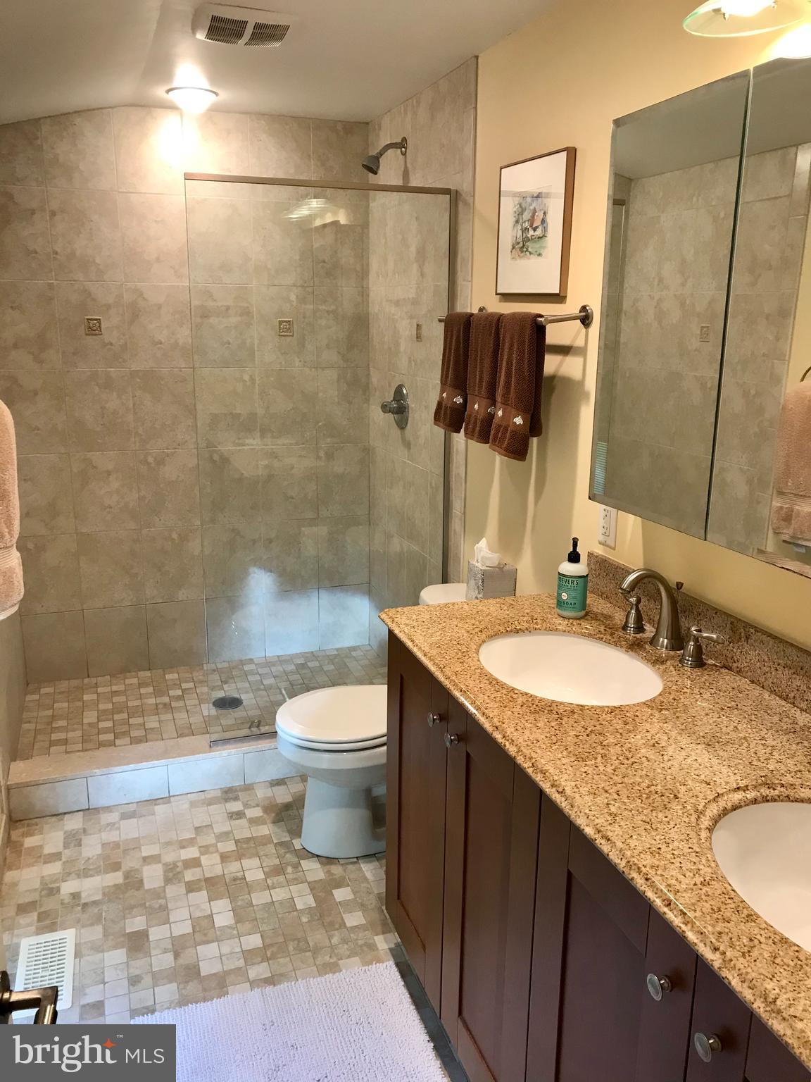 8 7 Springs Road Wayne, PA 19087 - Photo 17 of 23 Master bathroom with stall shower and double sink