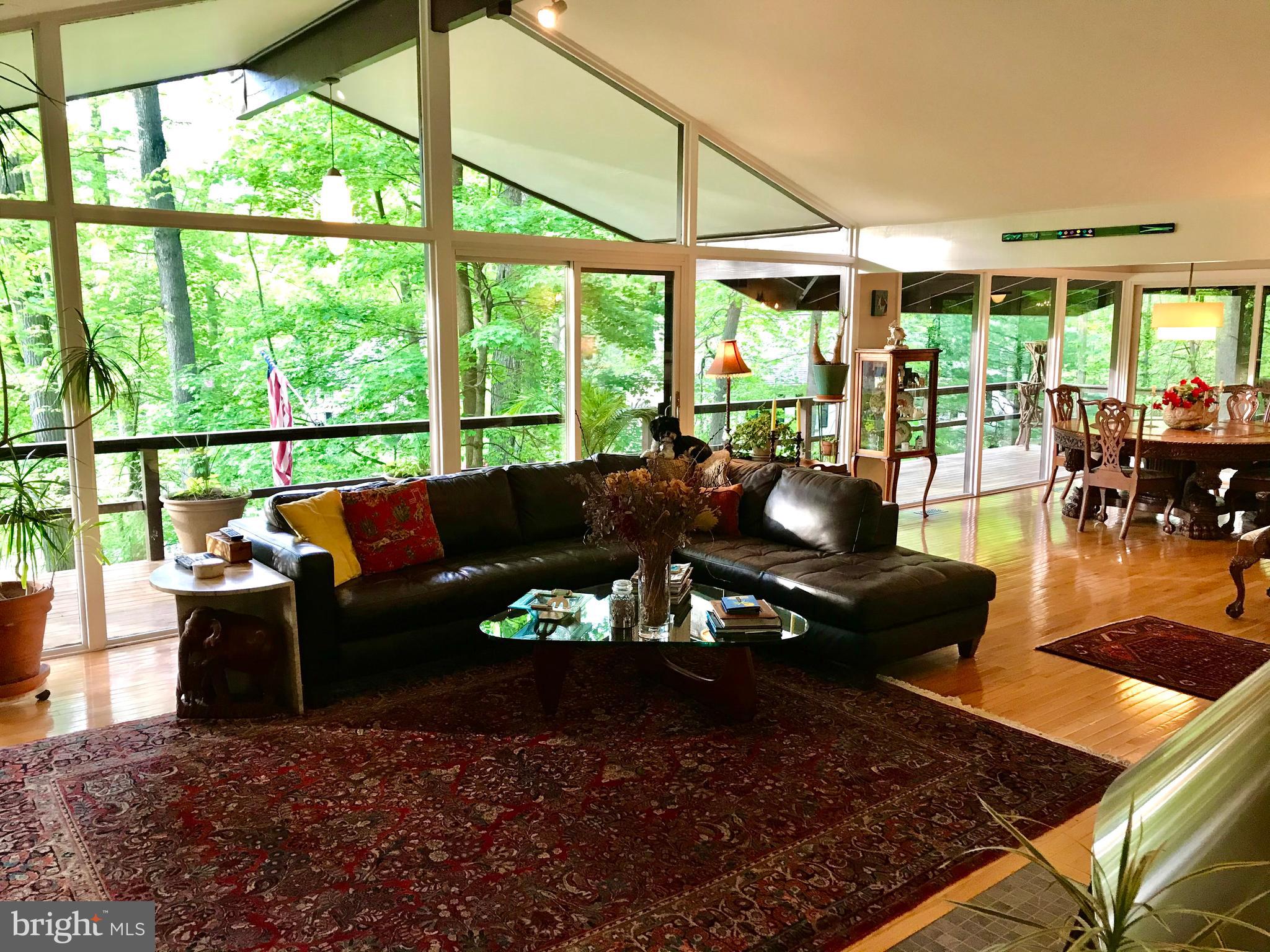 8 7 Springs Road Wayne, PA 19087 - Photo 7 of 23 Living room with walls of glass