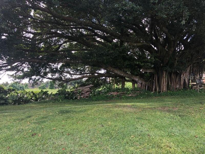 Camino Entrada Alley Lago, PR 00926 - Photo 13 of 82